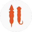 Illustration of a cat and dog with thin body weights