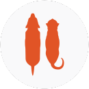 Illustration of a cat and dog with overweight body weights