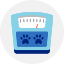 Illustration of a weight scale
