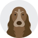 Illustration of a spaniel