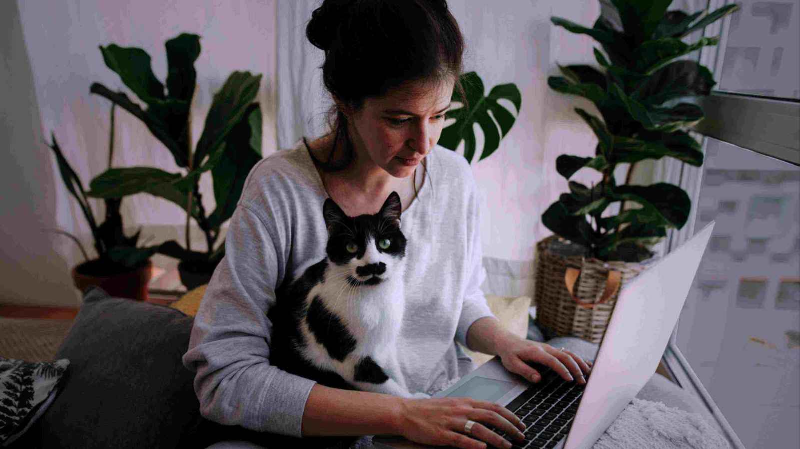 cute black and white cat with owner