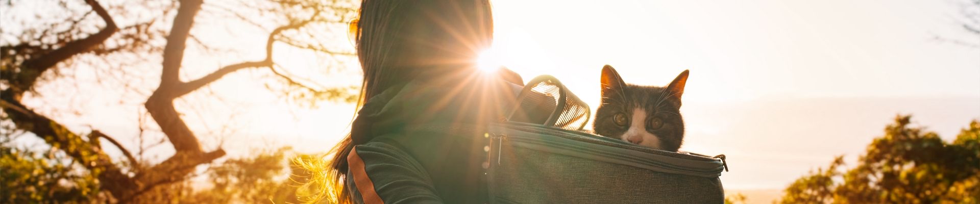 a woman hiking with a cat