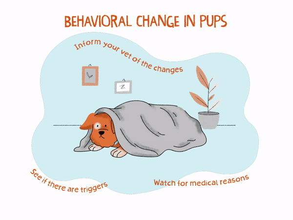 A cartoon puppy anxiously laying under a blanket