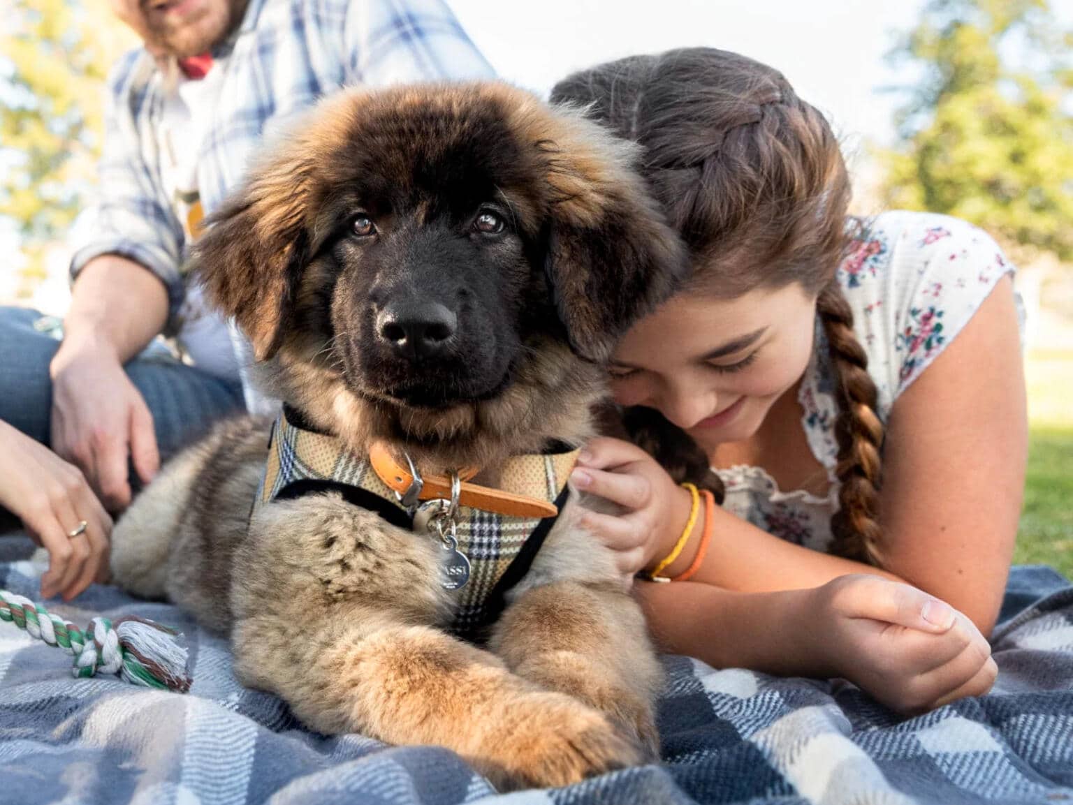 A girl on a blanket with a puppy