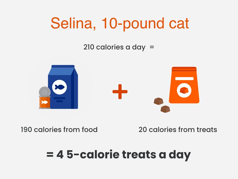 cat food can blue milk carton icon