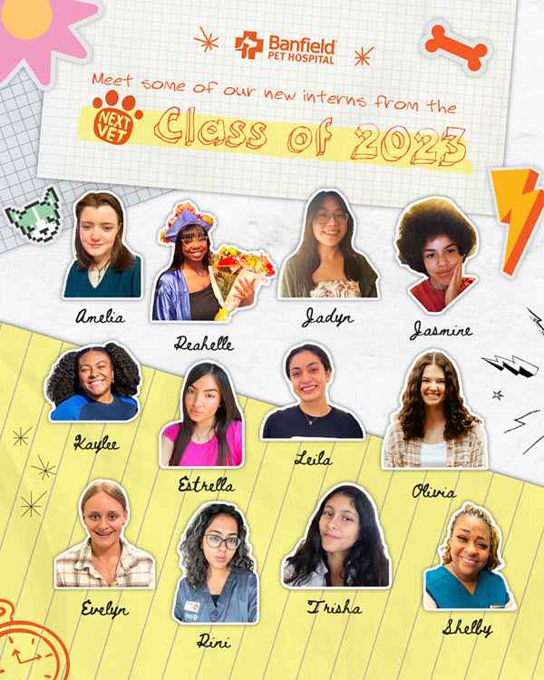 Banfield NextVet 2023 class