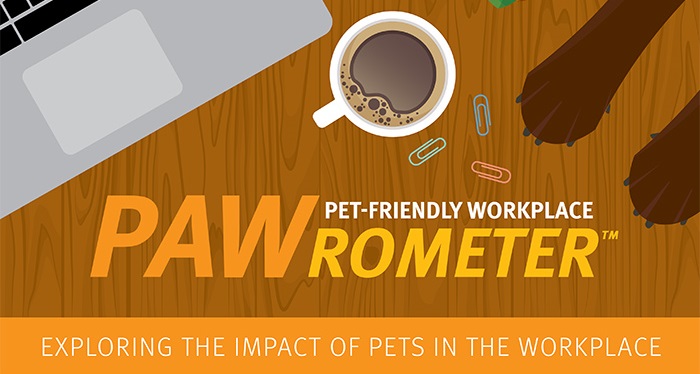 Press Releases & Announcements