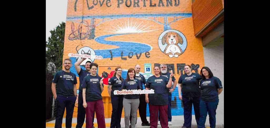 Press Releases & Announcements