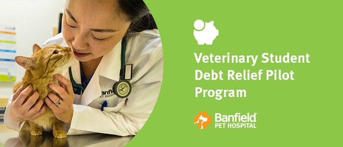 Press Releases & Announcements