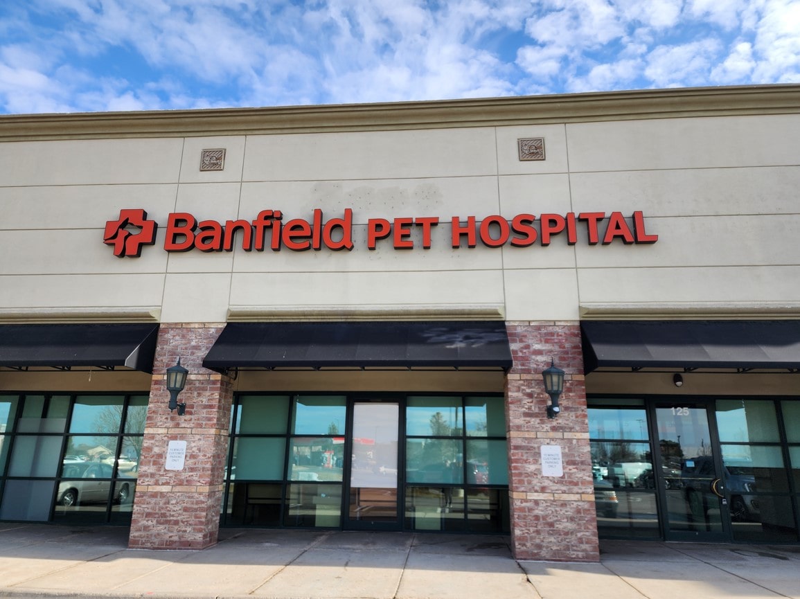 Exterior of the Brighton Palizzi clinic