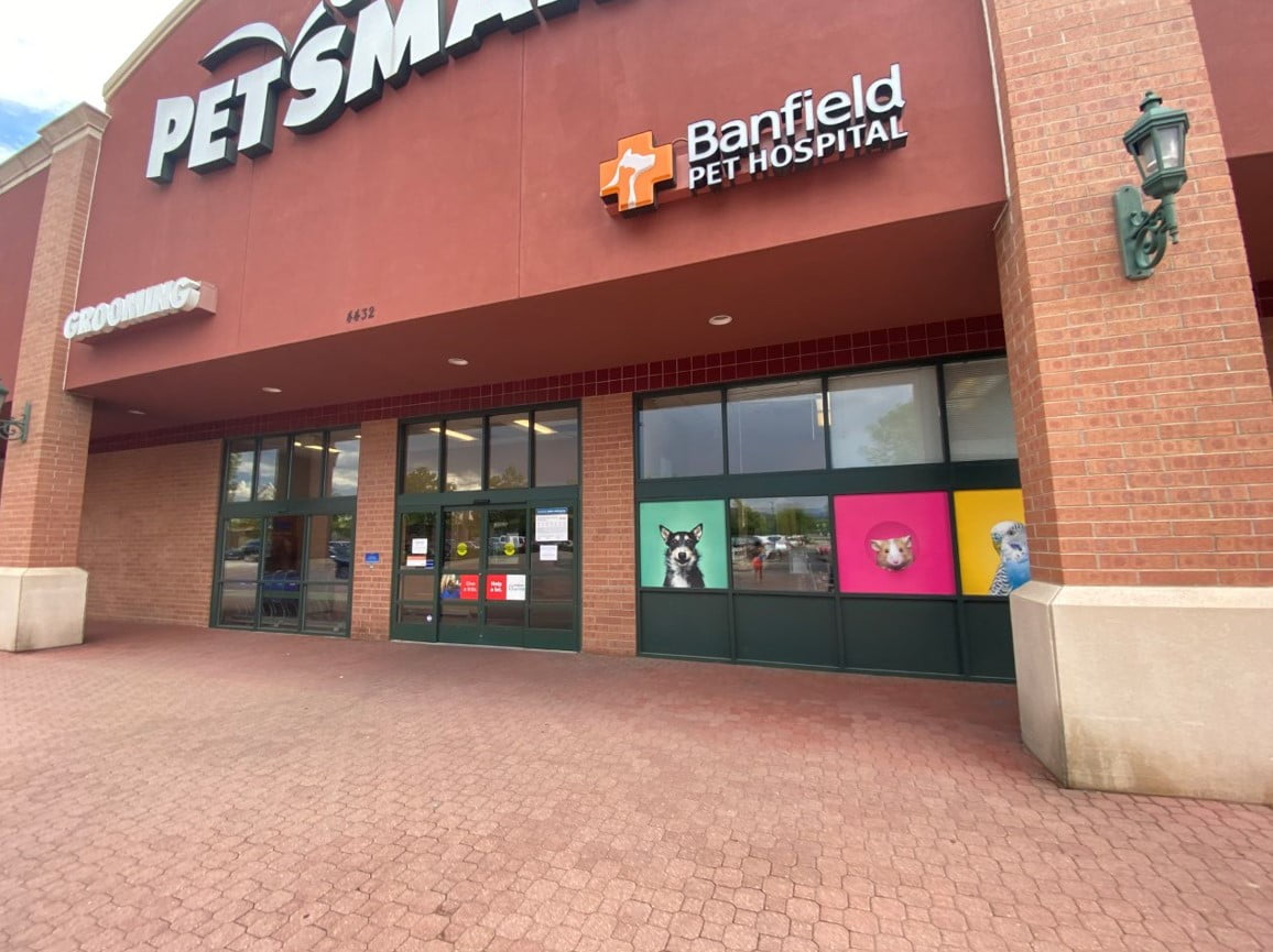 PetSmart entrance and hospital entrance