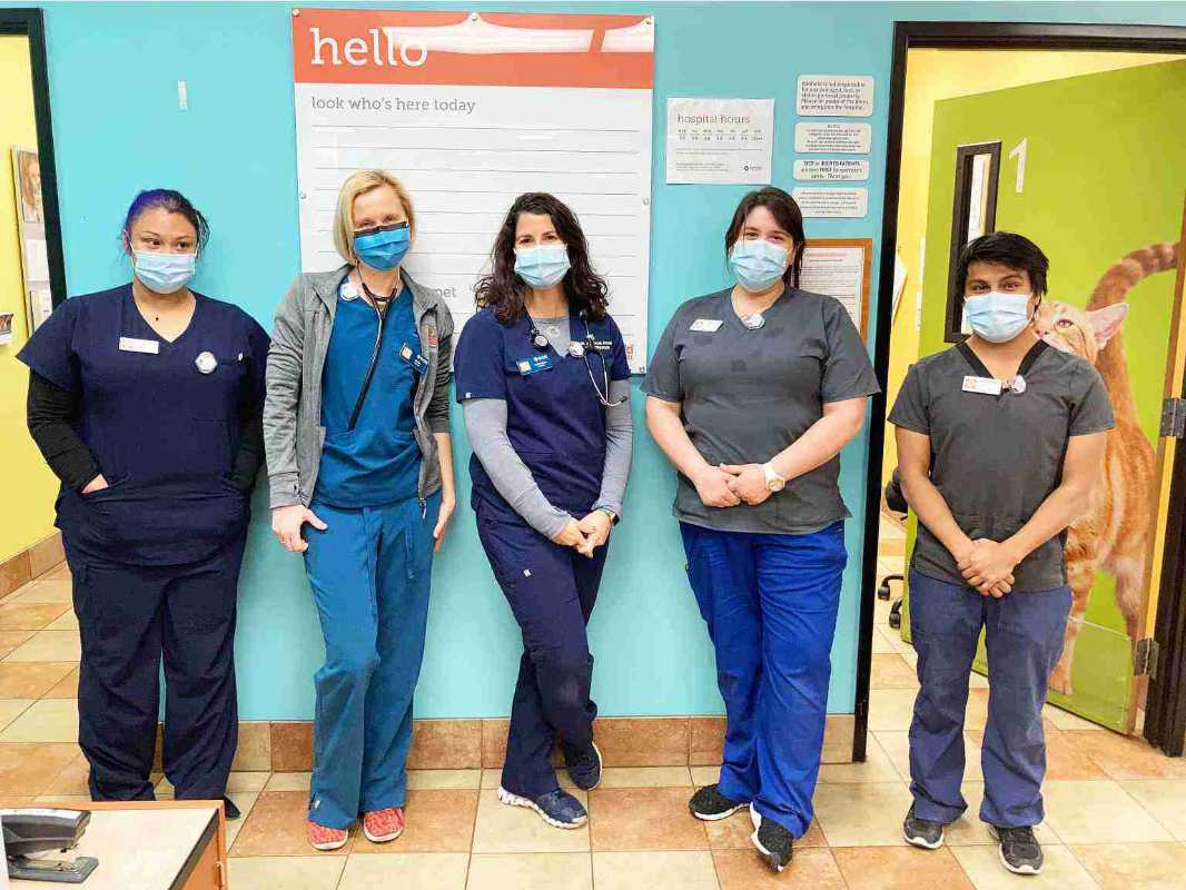 A group of Banfield Associates at the Banfield Pet Hospital