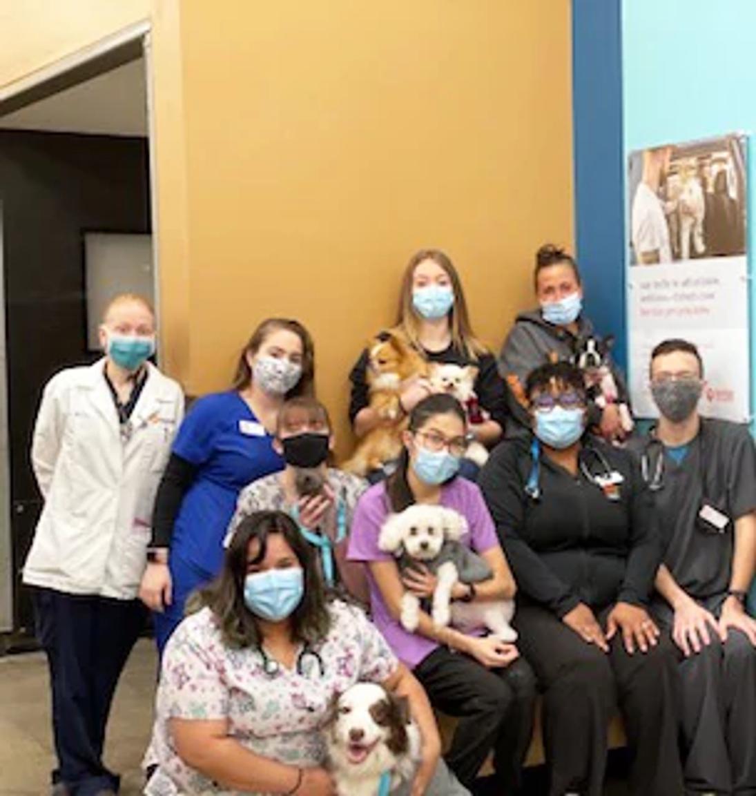 A group of Banfield Associates sitting with a few dogs at the Banfield Pet Hospital
