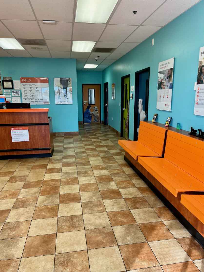 Front lobby at Banfield Pet Hospital: Wichita E