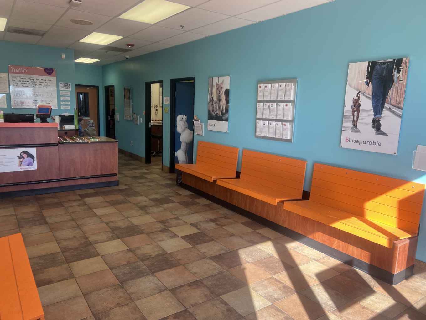 Front lobby at Banfield Pet Hospital: Shawnee Mission