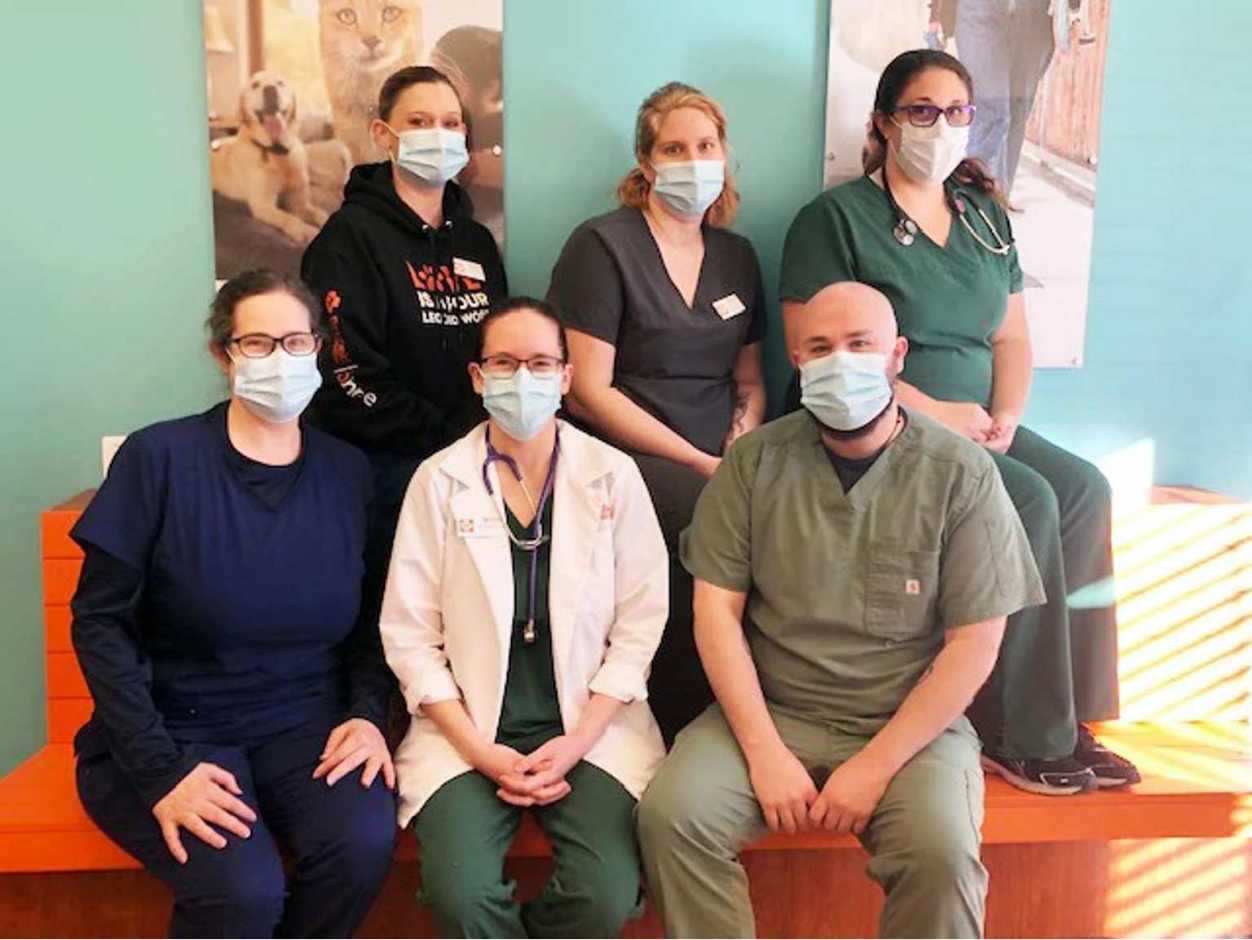 A group of Banfield Associates at the Banfield Pet Hospital