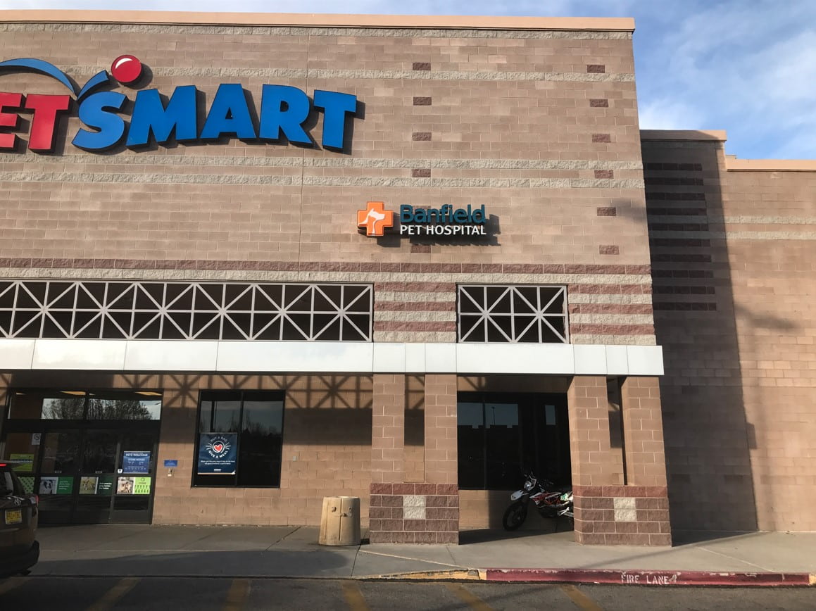 Albuquerque PetSmart exterior door