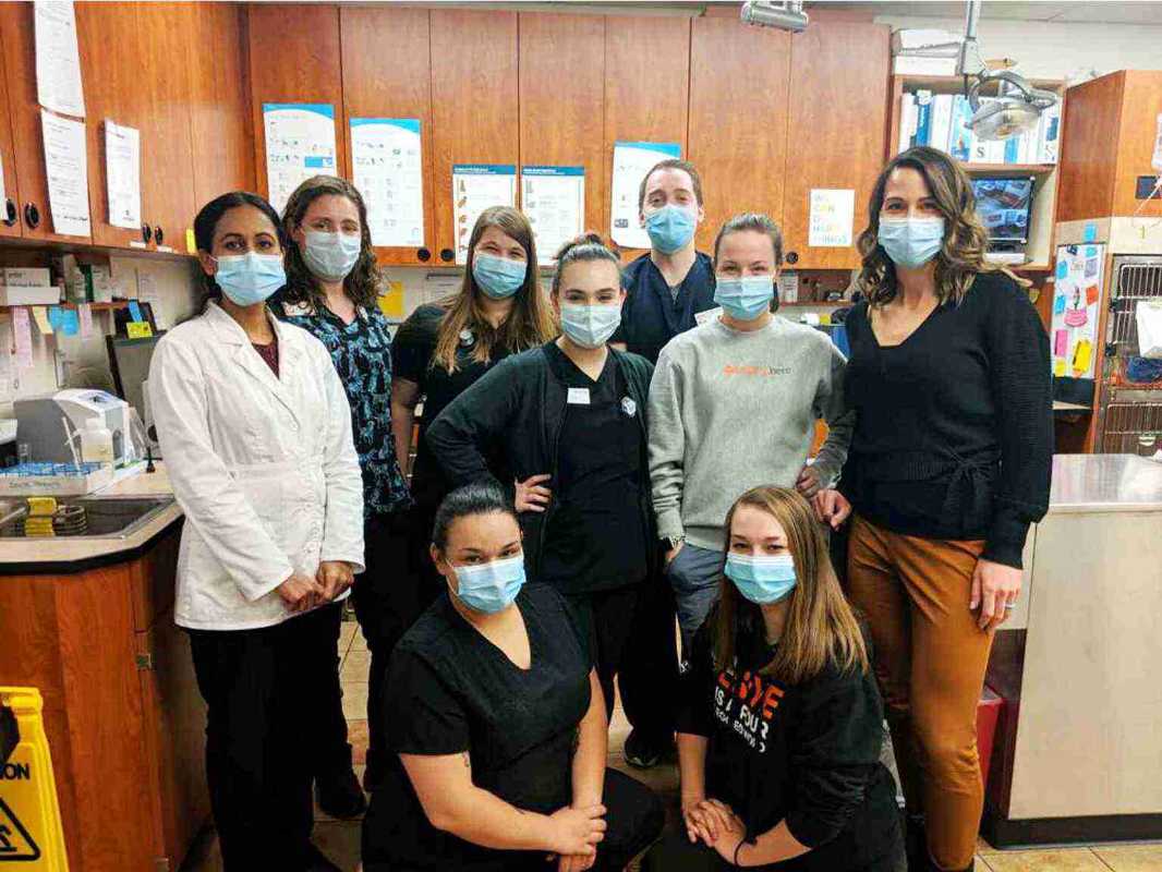 A group of Banfield Associates at the Banfield Pet Hospital