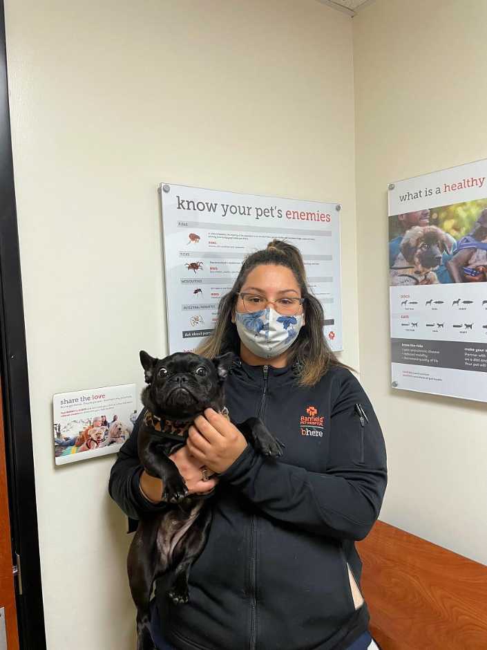 A female associate holding a dog at the Banfield Pet Hospital