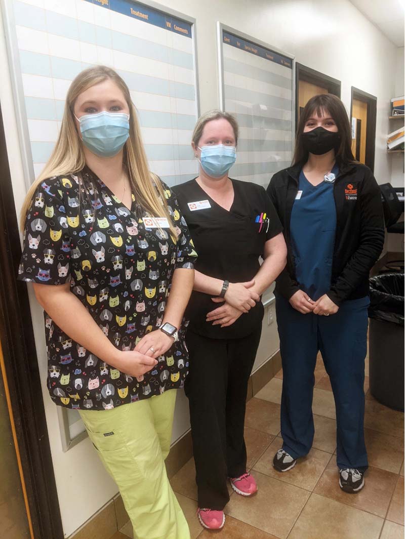 3 Banfield Associates at Columbia Spring Valley, SC