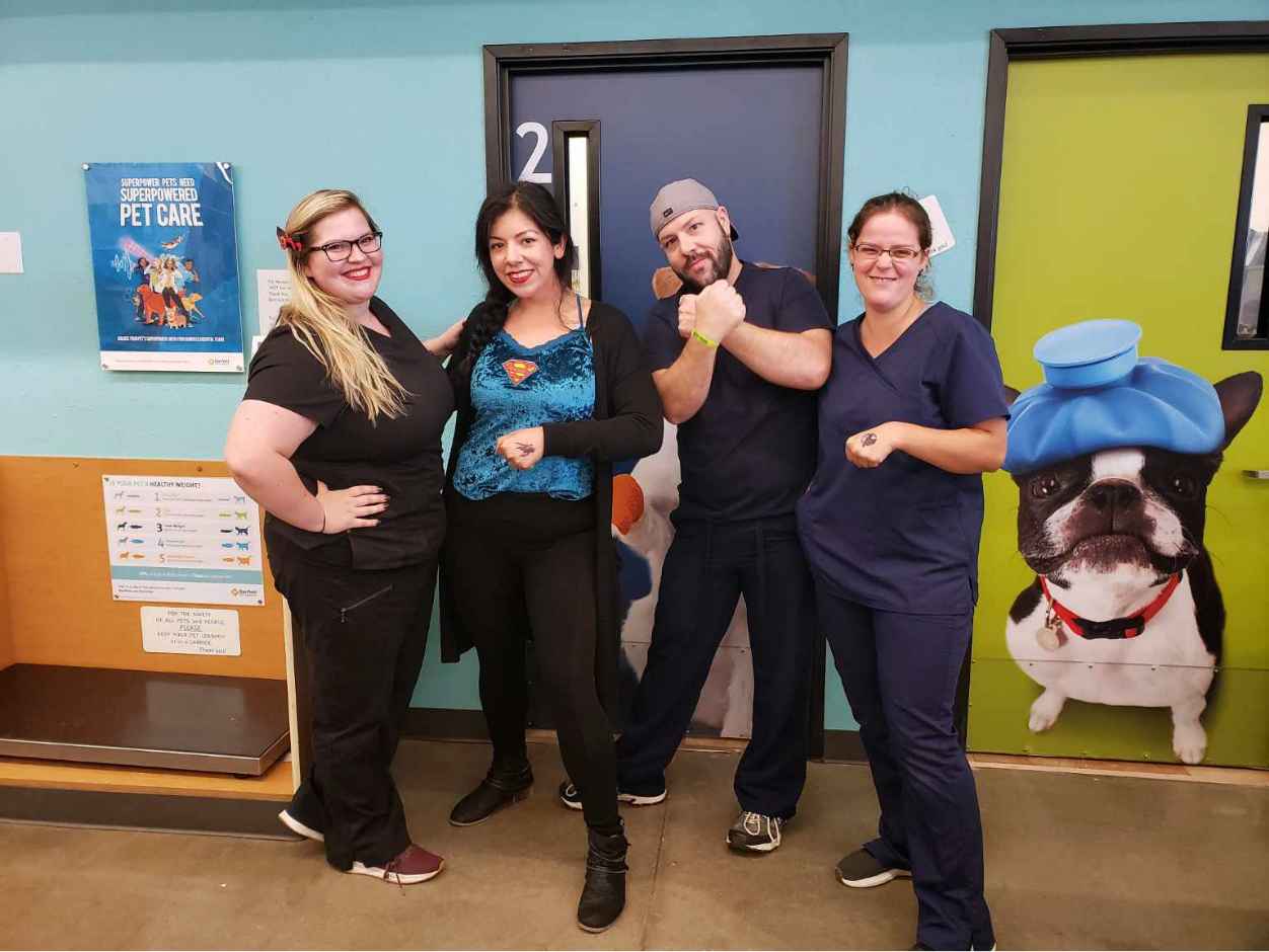 A group of associates at the Banfield Pet Hospital, Houston E, TX