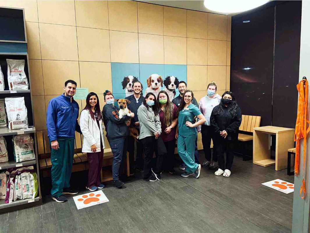 A group of associates at the Banfield Pet Hospital