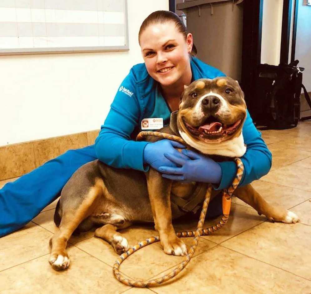 A young female veterinarian hugging a brown dog at the Banfield Pet Hospital