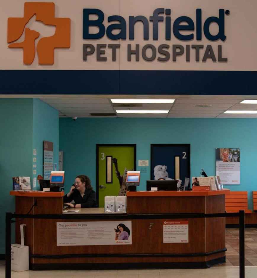 Front lobby at Banfield Pet Hospital: Quarry